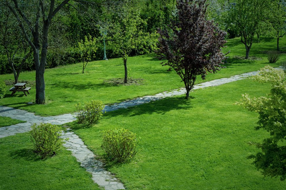 Garden and landscaping works Garden and landscaping works